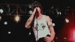 Red Hot Chili Peppers - Minor Thing - Live at MTV Jammed