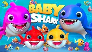 Baby Shark , Mommy Shark, Daddy Shark, Grandma Shark, Grandpa Shark, doo Doo #cocomelon  #babyshark