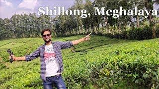 Shillong Tourist Places | Shillong Tour Plan | Shillong Tour Budget | Shillong Tour Guide Meghalaya
