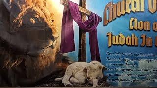 Church of God Lion Of Judah In Christ. is live!