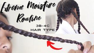 Extreme Moisture Natural Hair Routine for Hair Growth and length Retention!