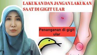 Cara PENANGANAN PERTAMA di GIGIT ULAR DI rumah