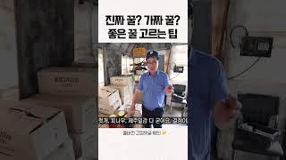 연매출 1억 양봉업자가 말하는 좋은 꿀 고르는 팁 #shorts