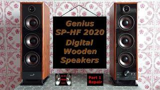 Genius SP-HF 2020 Multimedia Speaker Systems (2012) Part 1 Repair