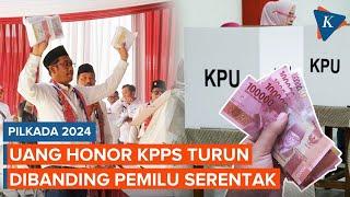 Uang Honor KPPS Pilkada 2024 Turun Dibanding Pemilu, Tak Sampai Rp 1 Juta