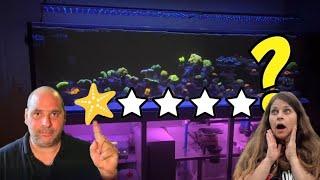 Rank my tank⭐️Mein 1000 l Meerwasser Aquarium auf dem Prüfstand | mit @VipersMeerwasser-Aquaristik