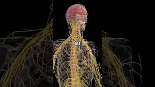 How much nutrients your body needs daily? Part 2 #health
