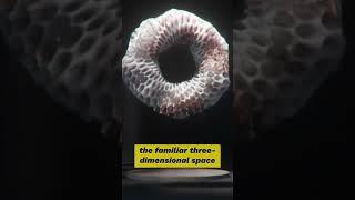 Superstring Theory and Extra Dimensions #shorts #shortvideo