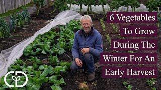 6 Vegetables To Grow During The Winter For An Early Harvest