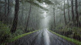  Sleep Very Well On A Rainy Night | Pouring Rain & Loud Thunder Sounds | Nature Sounds For Sleeping