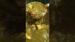 Palak Paneer at Lunch | #shorts | HEALTHY FOOD | #shortsvideo #youtubeshorts #palakpaneer #lunch