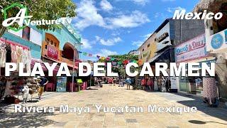 PLAYA DEL CARMEN Riviera Maya discover the beaches of the Mexican seaside city