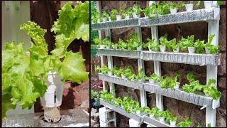 Easy Build DIY Hydroponic System - Kratky Method | How To Make Your Own Hydroponic System.