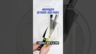 세라믹 칼 고민 중이라면?