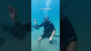 Reef Oasis diving center | Fujairah