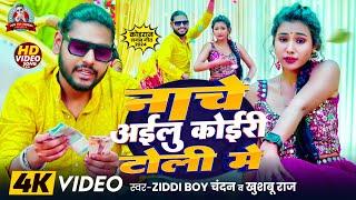 नाचे अईलु कोईरी टोली में | #Ziddi Boy Chandan , #Khushboo Raj | Kushwaha Lagan song 2024