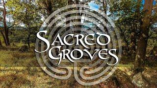 Sacred Groves: The Heart of Nature Worship