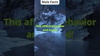 Surprising Facts About Men You Didn't Know! 20#psychologyfacts #facts#malefactsshortsvideo