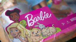 Mattel Had an Exceptional Quarter: CEO