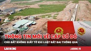 Thông tin mới về cấp sổ đỏ cho đất không giấy tờ khi Luật Đất đai thông qua | Báo Lao Động