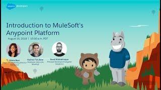 Introduction to MuleSoft Anypoint Platform