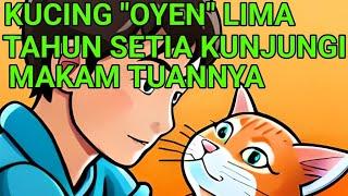 KISAH KUCING SETIA YANG 5 TAHUN KUNJUNGI MAKAM  TUANNYA