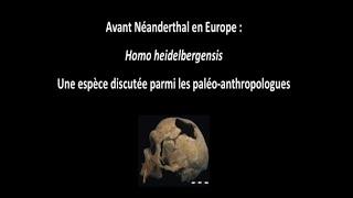 Avant Néandertal en Europe : Homo Heidelbergensis (1/3)