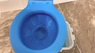 Miniature Concord Toilet Flushing Blue Sprinkles!