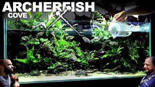 AMAZING 4ft Archerfish / Paludarium / Aquaterrarium / Aquarium: EPIC BUILD