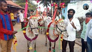 Celebration of sankranti Festival | Hallikar Procession | T Hosalli, Kanakapura