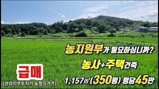 [급매/양평토지,양평땅] 농지원부신청가능, 농막설치가능,건축가능한 관리지역토지,사방향으로 트여있는 양지바른땅,양평토지급매,양평급매땅,급매토지