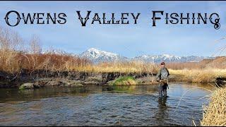 OWENS VALLEY FISHING