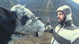 Trekking Himalaya at Night  