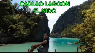 EL NIDO PALAWAN | CADLAO LAGOON |#amazing #palawan