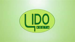 Отчет по КИП ЦДО Хоста