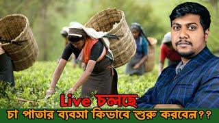 চা পাতার ব্যবসা কিভাবে শুরু করবেন। Tea Business idea.