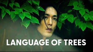 How trees communicate in the forest | Learning Nature