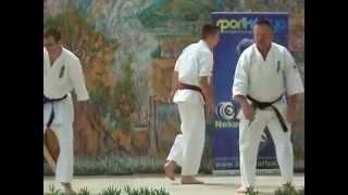 Karate bemutató - Cserép törés - Cserkeszőlő 2014