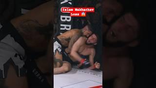 Islam Makhachev vs BJJ  #shorts #ufc #mma #islammakhachev