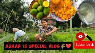 दही चिउरा खादै धानको बिउ काट्दै असार १५ मनाईम् ️|Asaar 15 vlog||Meera Shrestha|#vlog88 #fyp