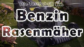  Benzinrasenmäher Test –  Top 3 Benzinrasenmäher im Test