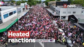 Treaty Principles Bill passes first reading | 1News on TVNZ+