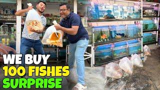 Pet market se Bohat sari Fishes Le ae Humsurprise Kya hosakta he? giveaway ?lalukhait birds market