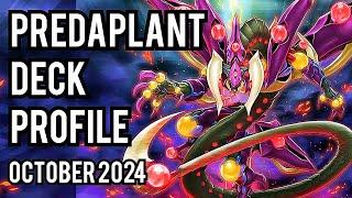 BEST! Predaplant Deck Profile! OCTOBER 2024!