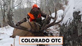 COLORADO OTC ELK HUNT