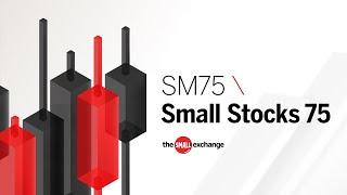 Small Stocks 75 (SM75)