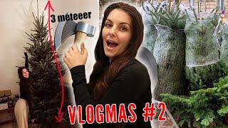 KARÁCSONYFA VÁSÁRLÁS I VLOG I ‍VLOGMAS #2️