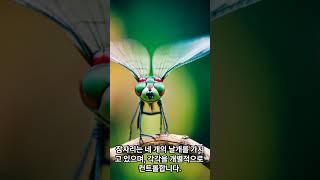 놀라운 동물의 세계 신기하고 다양한 능력