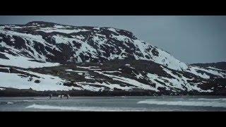 Surf in Siberia.Episode 5. Tundra. Teaser