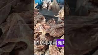 Otto dry and stockfish market #marketvlog #ottomarket #vlog #lagos #lagosnigeria